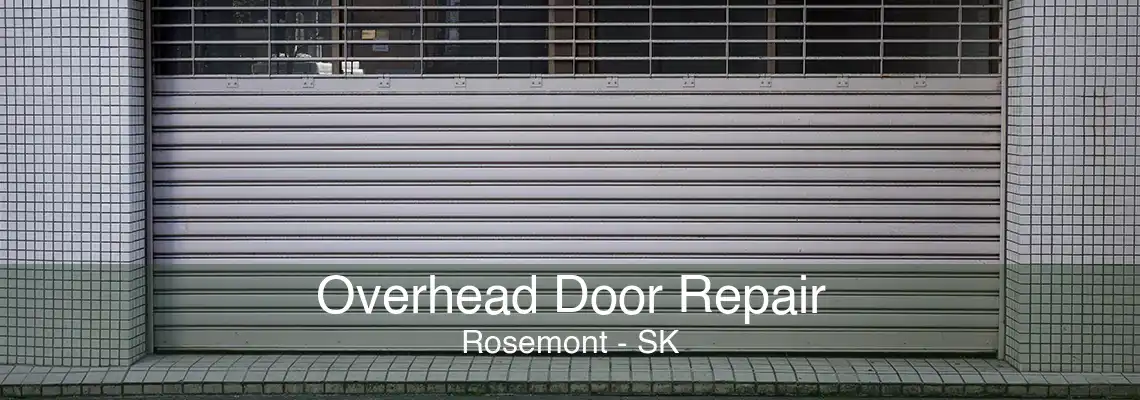 Overhead Door Repair Rosemont - SK