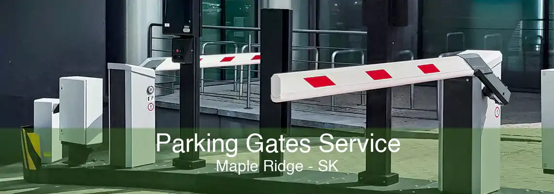 Parking Gates Service Maple Ridge - SK