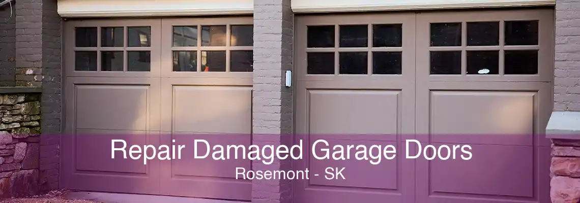 Repair Damaged Garage Doors Rosemont - SK