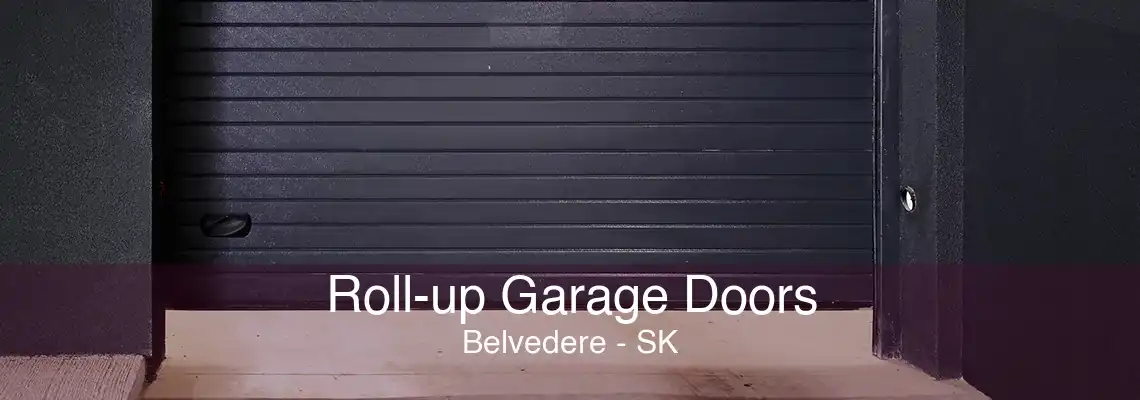 Roll-up Garage Doors Belvedere - SK