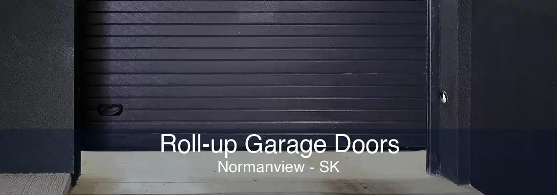 Roll-up Garage Doors Normanview - SK