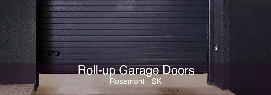Roll-up Garage Doors Rosemont - SK