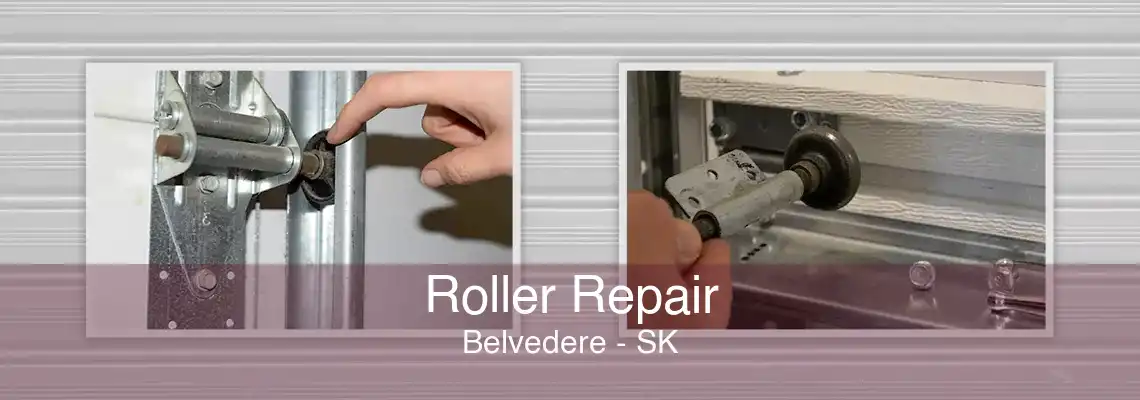 Roller Repair Belvedere - SK