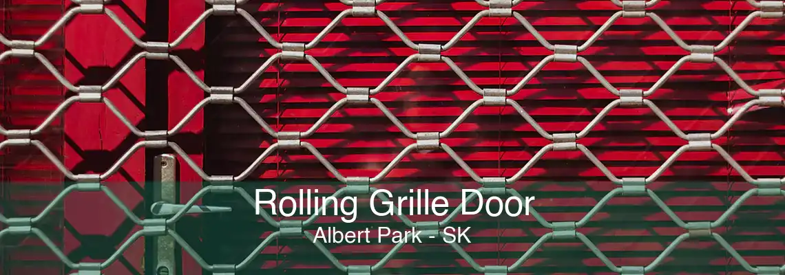 Rolling Grille Door Albert Park - SK
