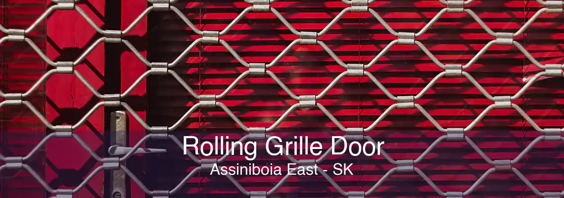 Rolling Grille Door Assiniboia East - SK