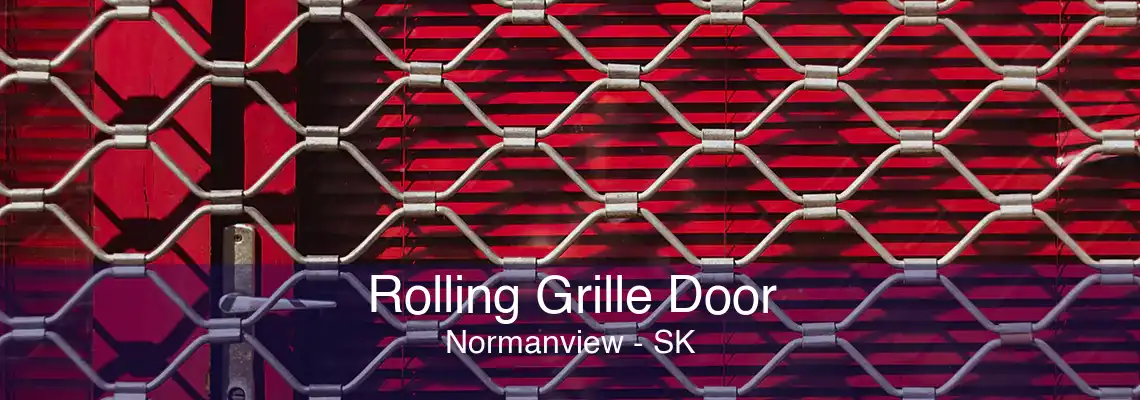 Rolling Grille Door Normanview - SK