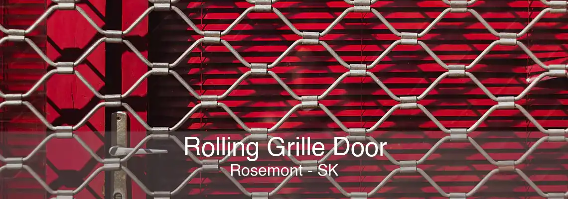 Rolling Grille Door Rosemont - SK
