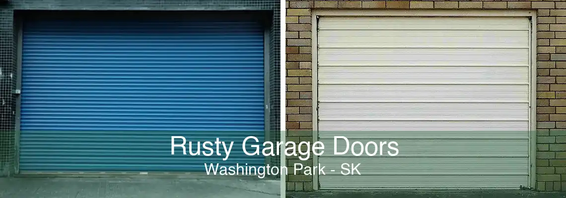 Rusty Garage Doors Washington Park - SK