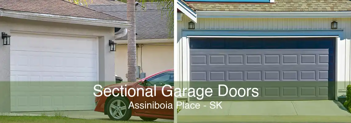 Sectional Garage Doors Assiniboia Place - SK