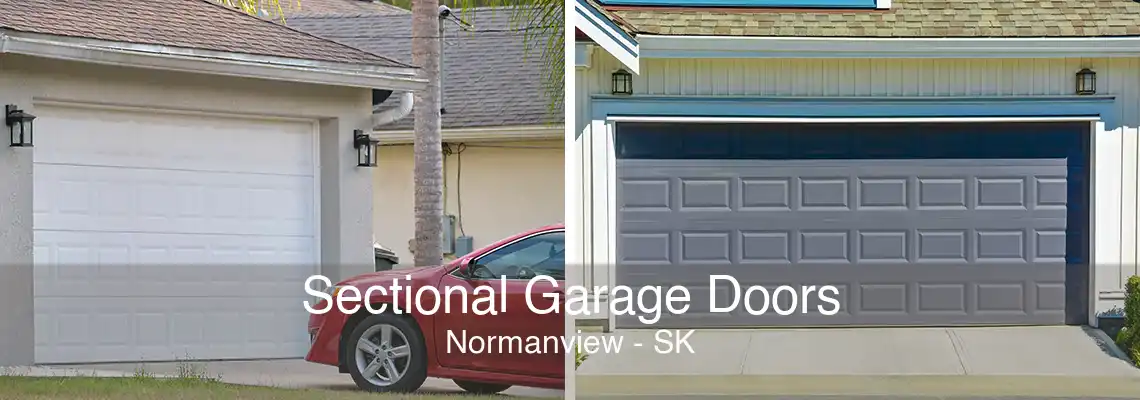 Sectional Garage Doors Normanview - SK