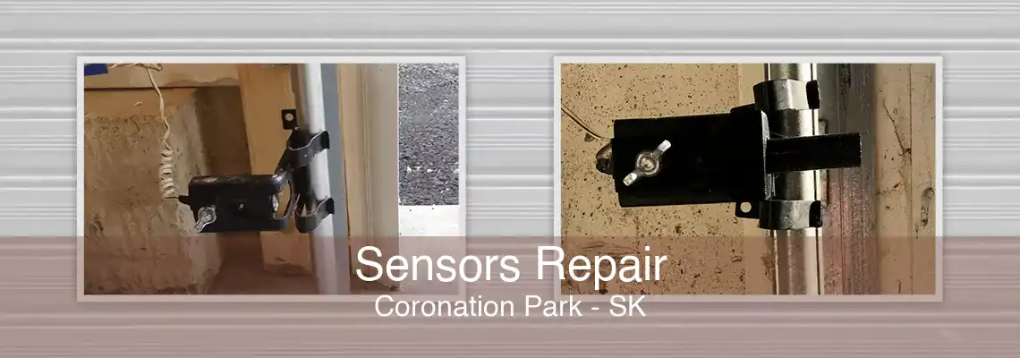 Sensors Repair Coronation Park - SK