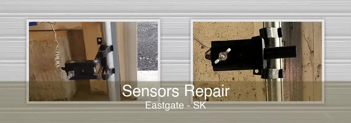 Sensors Repair Eastgate - SK