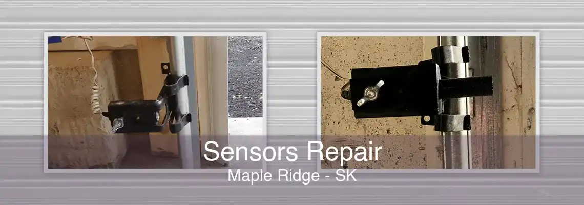 Sensors Repair Maple Ridge - SK