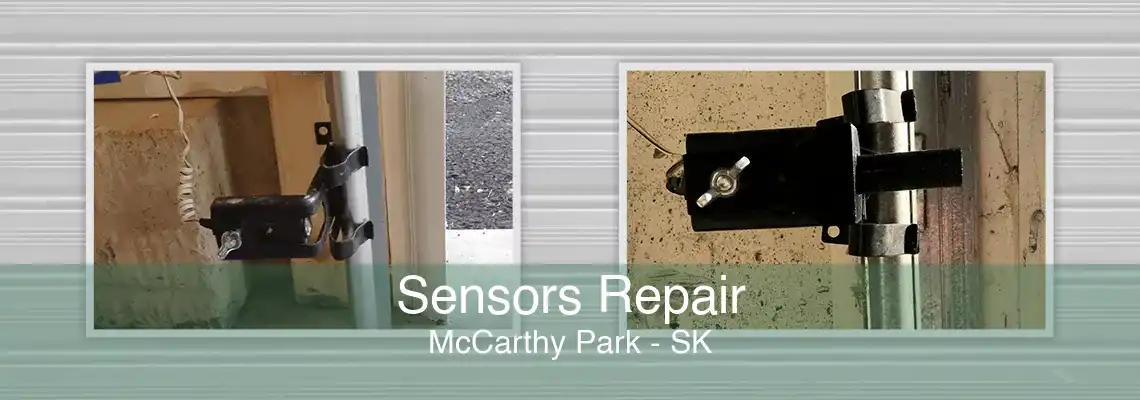 Sensors Repair McCarthy Park - SK