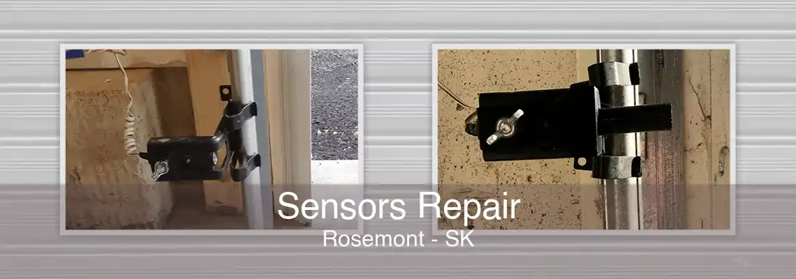 Sensors Repair Rosemont - SK
