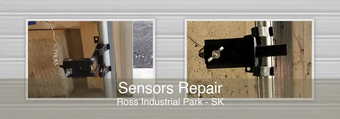 Sensors Repair Ross Industrial Park - SK