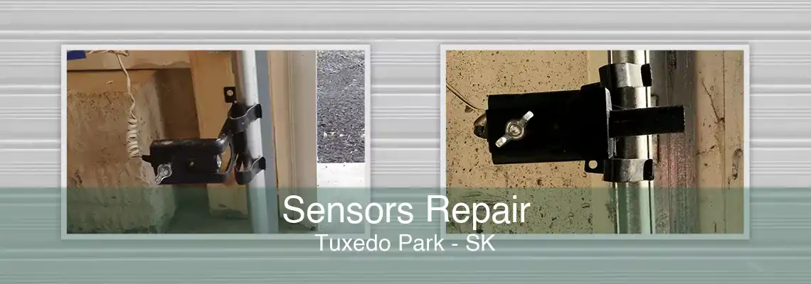 Sensors Repair Tuxedo Park - SK