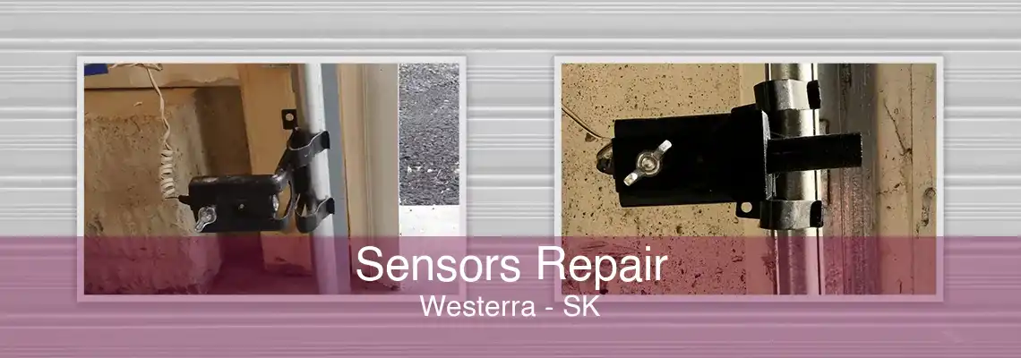 Sensors Repair Westerra - SK
